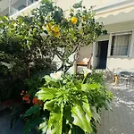 Fronte Mare In Centro Con Terrazza Privata